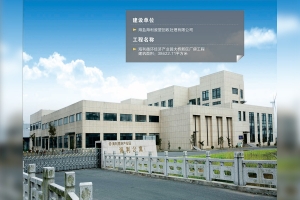海利循環(huán)經(jīng)濟產(chǎn)業(yè)園大橋新區(qū)廠房工程